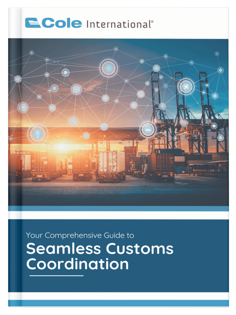 Your Comprehensive Guide to Seamless Customs Coordination