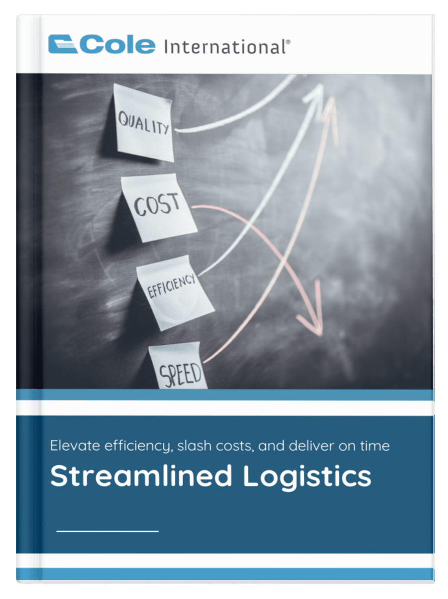 Elevate Efficiency, Slash Costs, and Deliver on Time - Streamlined Logistics